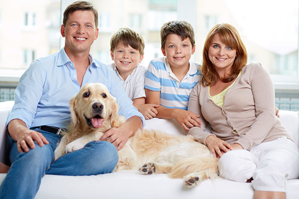 Benefits Of Choosing A Family Dentist In Bellflower Close To Home
